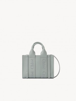 BAY GREEN Chloe Woody Tote 1 Mini Bags | CHE-SR13697