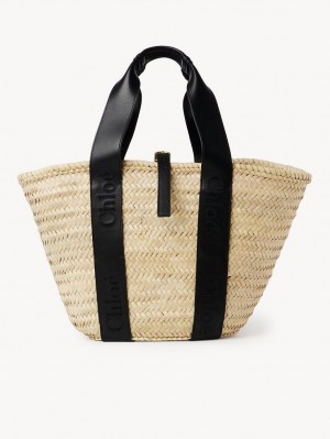 Black Chloe Sense Medium Baskets | CHE-SR13642