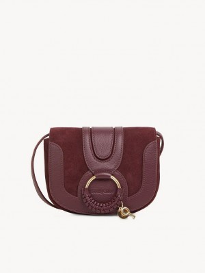 Dusky Brown Chloe Hana Mini Bags | CHE-SR14725