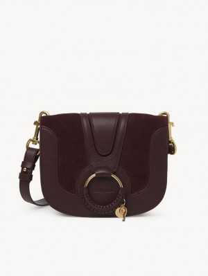 FULL VIOLINE Chloe Hana Shoulder Bags | CHE-SR14633