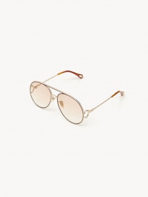 GOLD/GRADIENT PINK Chloe Austine Sunglasses | CHE-SR14524