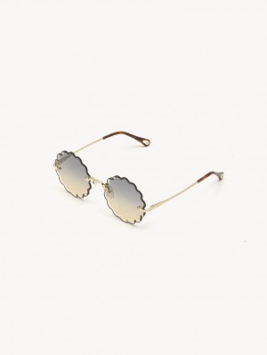 GOLD/GREY ORANGE YELLOW Chloe Rosie Petite Sunglasses | CHE-SR14556