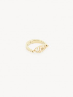 GOLD COLOR Chloe Darcey Lace Rings | CHE-SR14436