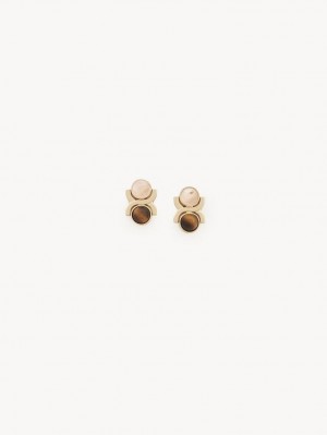 GOLD COLOR Chloe Marcie Earrings | CHE-SR14447