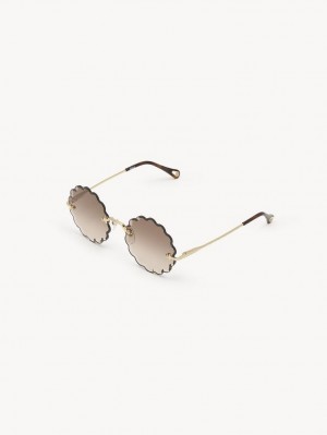 GRADIENT BROWN Chloe Rosie Petite Sunglasses | CHE-SR14535