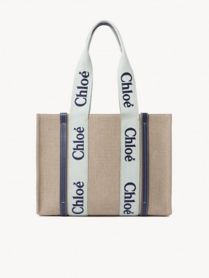 GREEN - BLUE 1 Chloe Medium Woody Tote Bags | CHE-SR13365