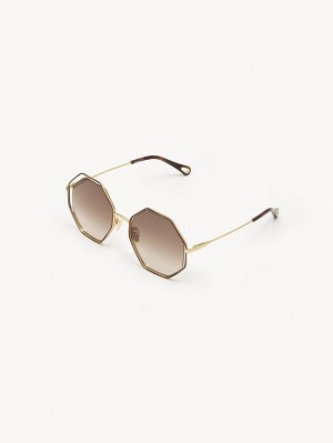 HAVANA / BROWN Chloe Poppy Petite Sunglasses | CHE-SR14545