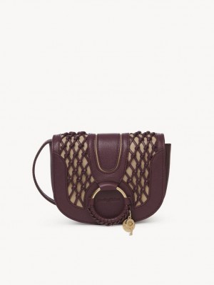 Intense Violine Chloe Hana Mini Bags | CHE-SR14759