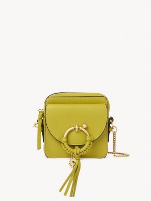 LIGHT OLIVE Chloe Joan Camera Mini Bags | CHE-SR14757