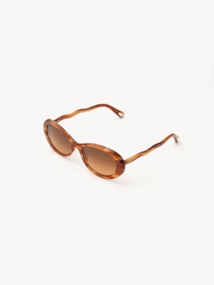 Light Havana Chloe Zelie Sunglasses | CHE-SR14554