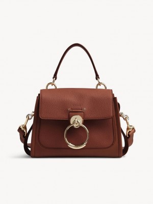 Sepia Brown Chloe Mini Tess Day Crossbody Bags | CHE-SR13479