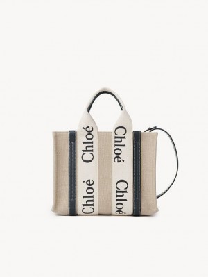 White - Blue 1 Chloe Small Woody Tote Bags | CHE-SR13366