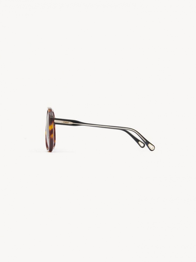 BLACK/HAVANA Chloe Dannie Sunglasses | CHE-SR14569