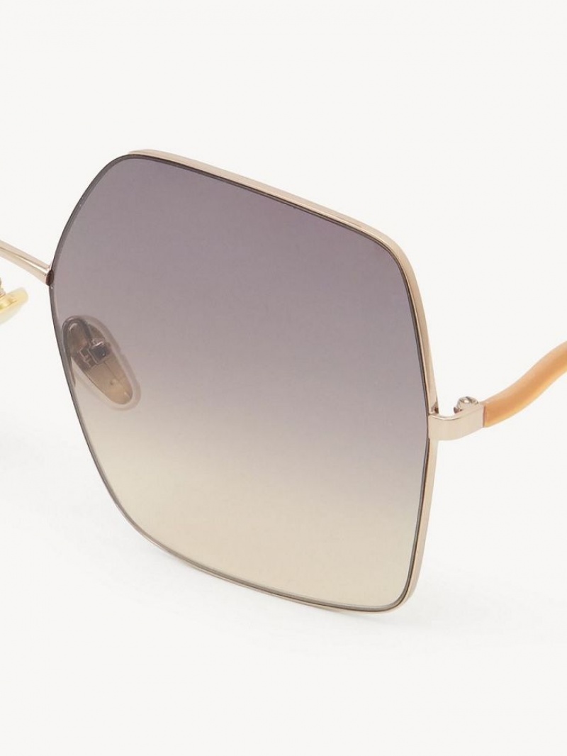 BROWN/OCHRE Chloe Noore Sunglasses | CHE-SR14538