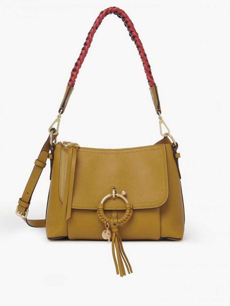 Baroque Brown Chloe Joan Small Shoulder Bags | CHE-SR14648