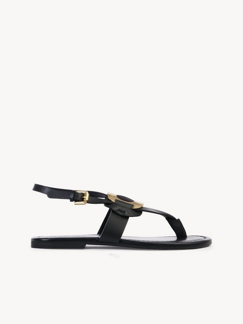 Black Chloe Chany Sandals | CHE-SR14844