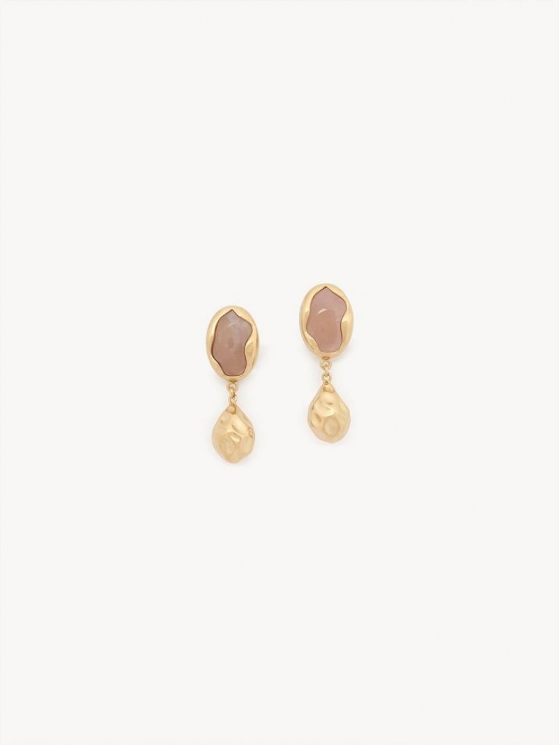 Bright Gold Chloe Sybil Earrings | CHE-SR14459