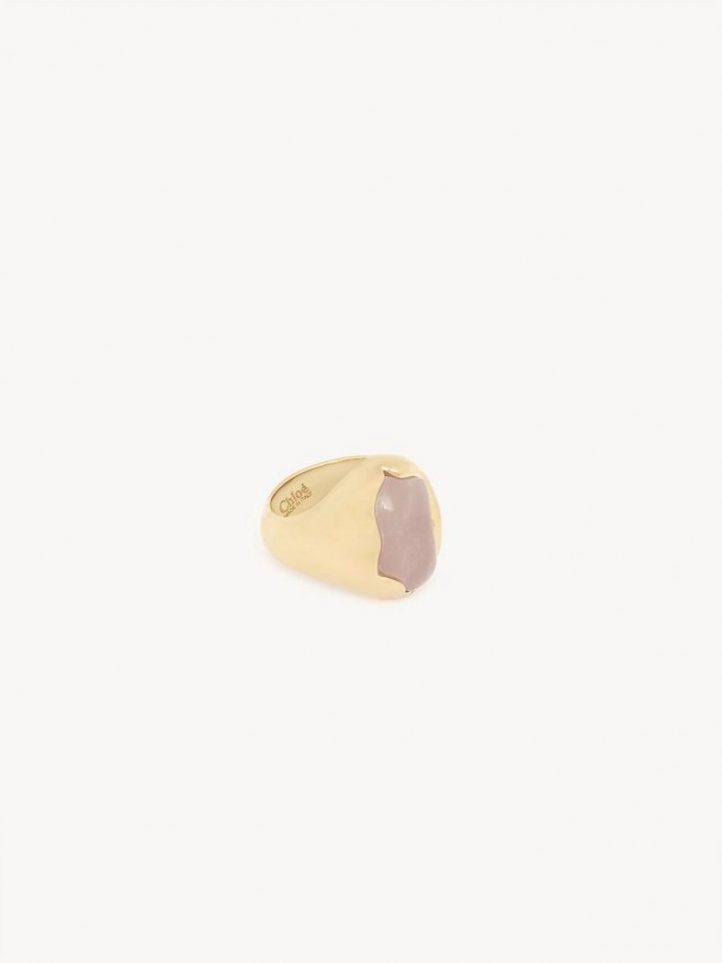 Bright Gold Chloe Sybil Rings | CHE-SR14449