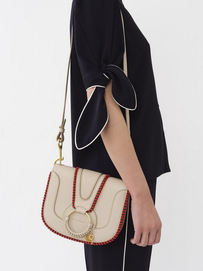 Cement Beige Chloe Hana Shoulder Bags | CHE-SR14639