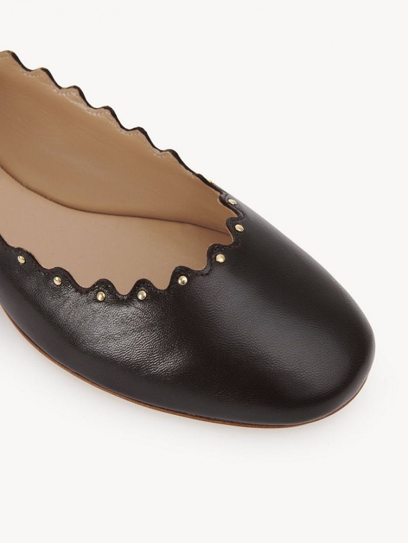 Chocolate Chloe Lauren Ballet Flat | CHE-SR14253