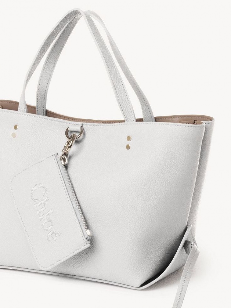 Crystal White Chloe Sense Small East-west Shoulder Bags | CHE-SR13421