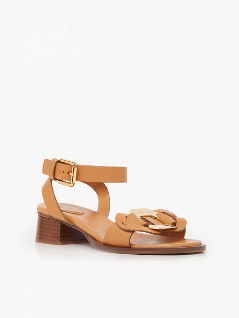 Cuoio Chloe Chany High-heel Sandals | CHE-SR14828