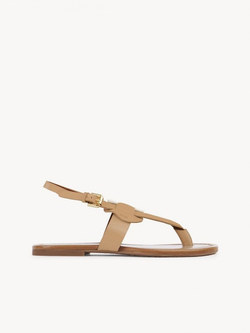 Cuoio Chloe Chany Sandals | CHE-SR14824