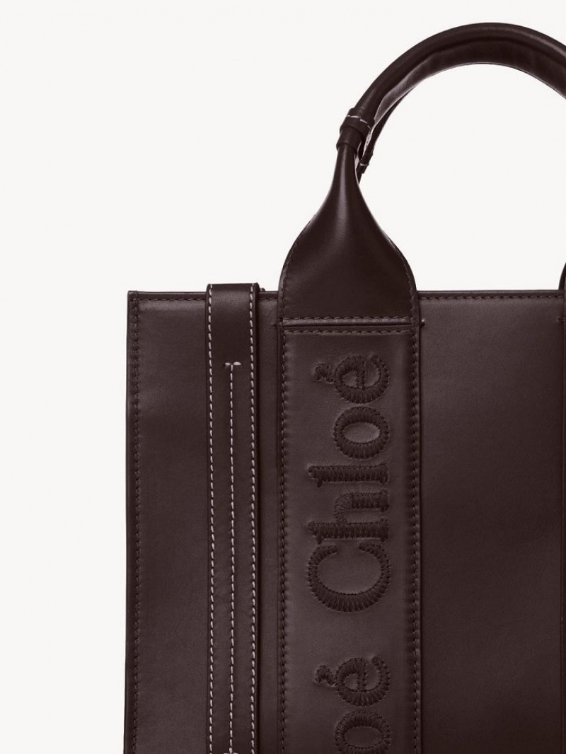 DEEP VIOLINE Chloe Small Woody Tote Bags | CHE-SR13375