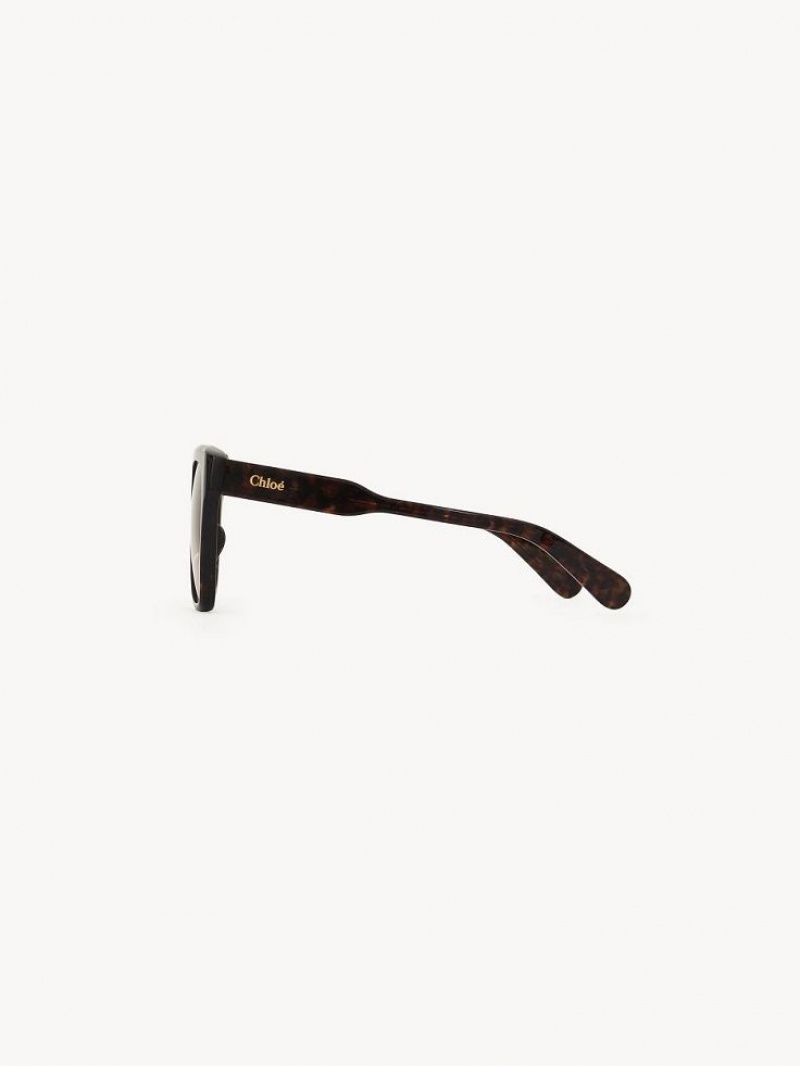 Dark Havana Chloe Gayia Sunglasses | CHE-SR14571