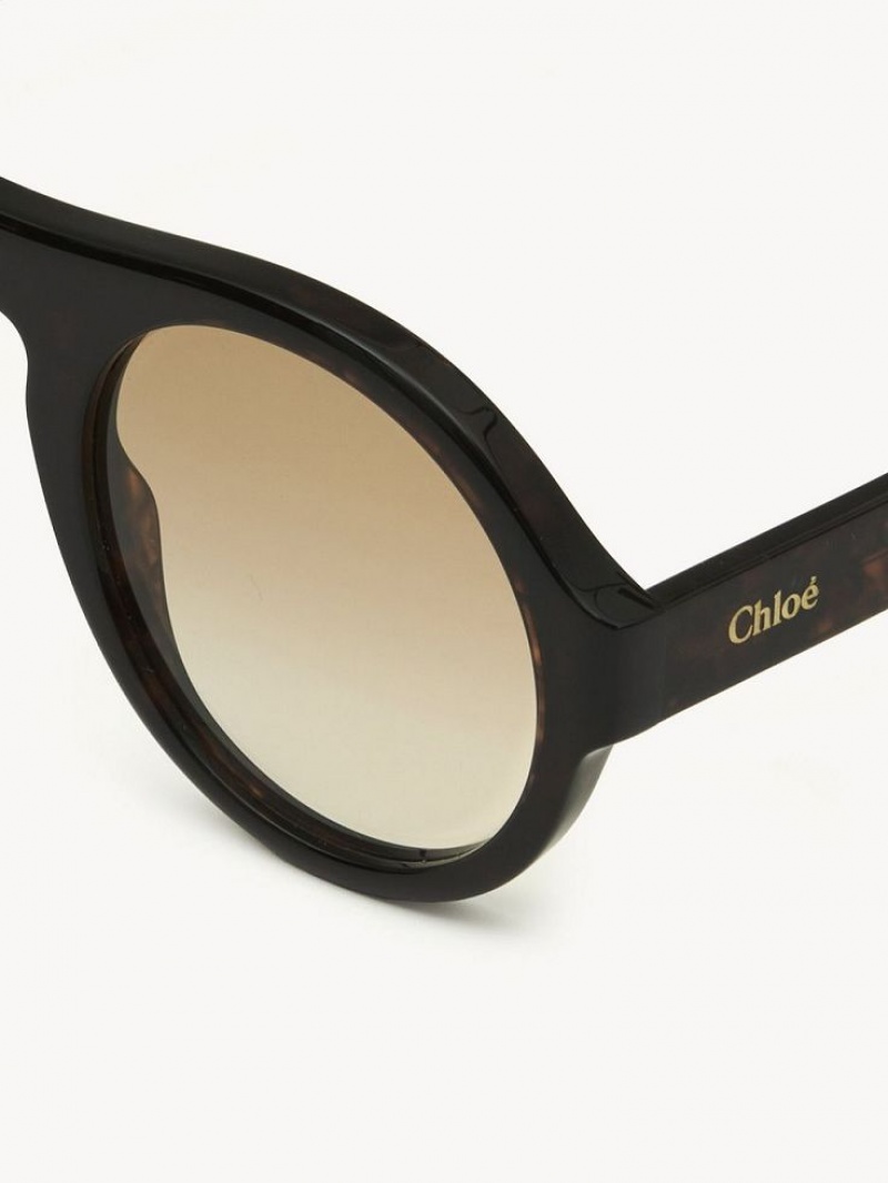 Dark Havana Chloe Gayia Sunglasses | CHE-SR14572