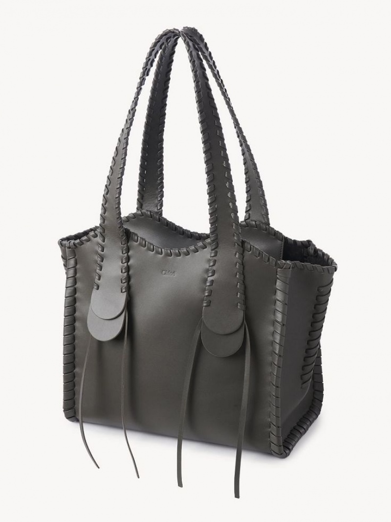 Elephant Grey Chloe Medium Mony Shoulder Bags | CHE-SR13436