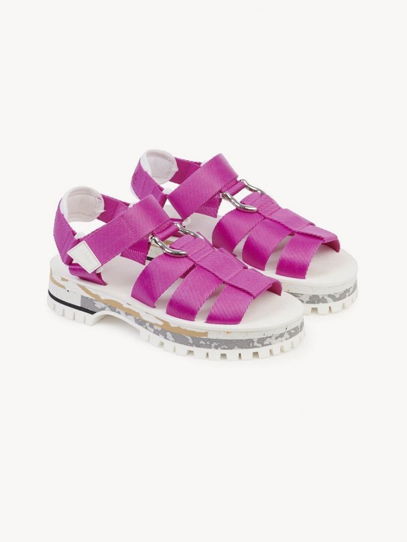 FIZZY PINK Chloe Nikie Active Flat Sandals | CHE-SR14177