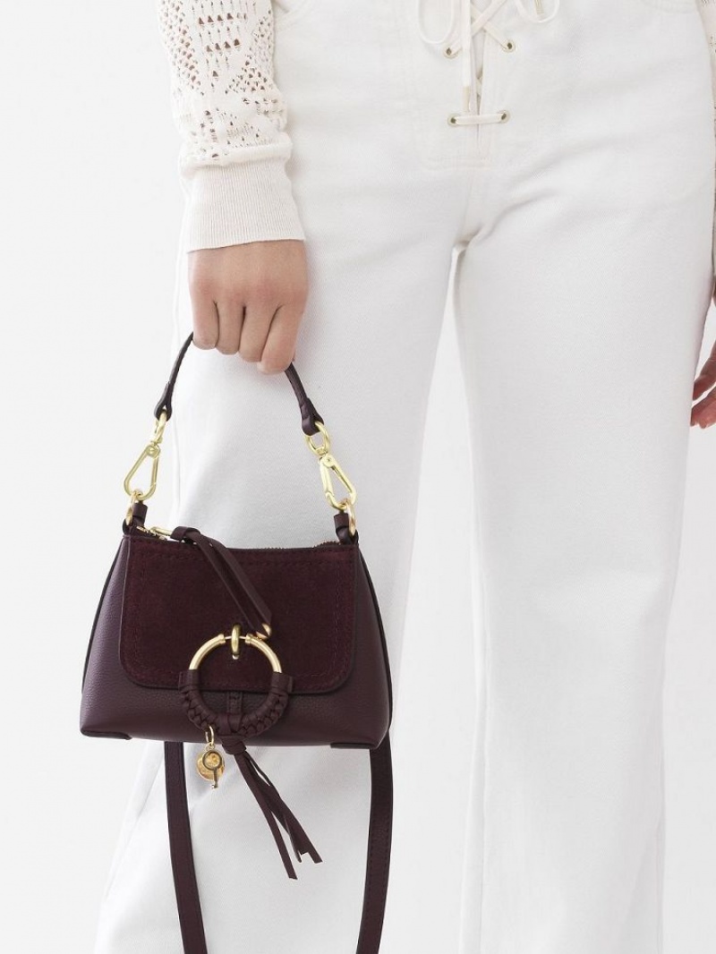 FULL VIOLINE Chloe Joan Mini Shoulder Bags | CHE-SR14634