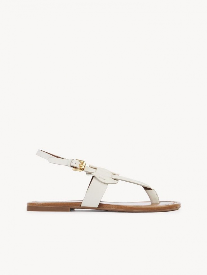 GESSO Chloe Chany Sandals | CHE-SR14845