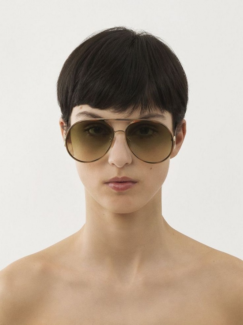 GOLD/HAVANA/GREEN LENS Chloe Austine Sunglasses | CHE-SR14526