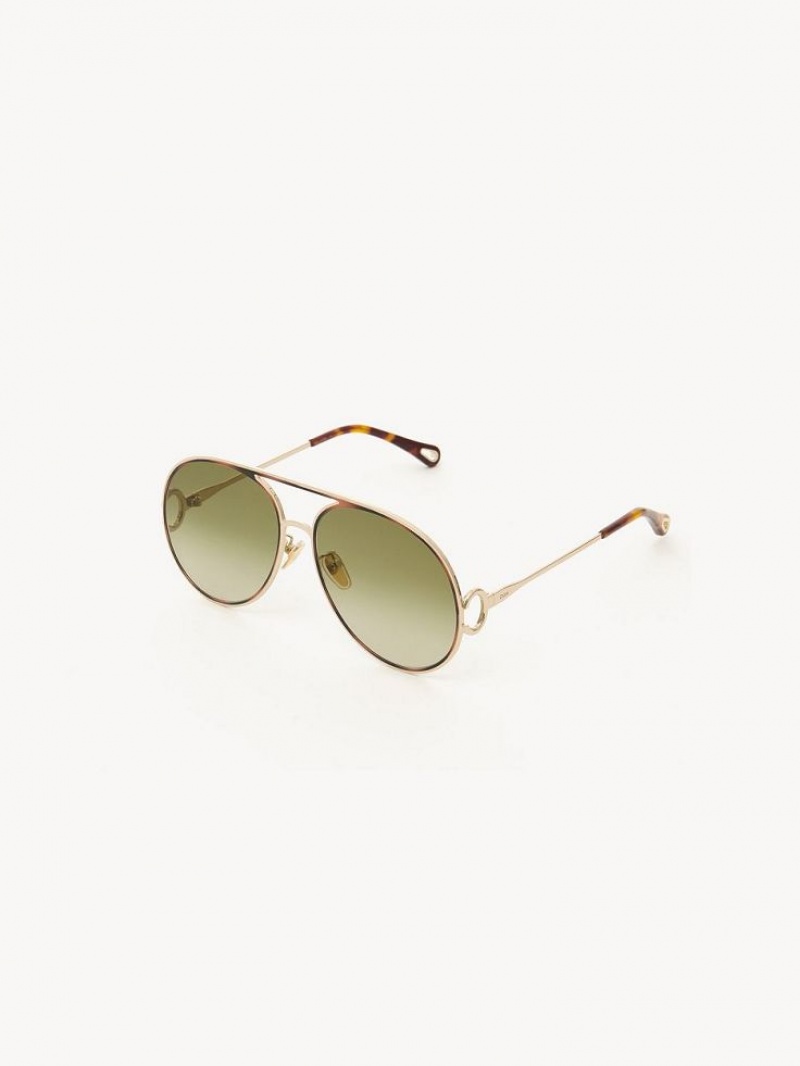 GOLD/HAVANA/GREEN LENS Chloe Austine Sunglasses | CHE-SR14526