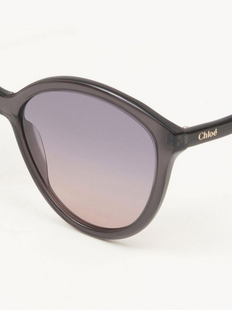 Grey Chloe Zelie Sunglasses | CHE-SR14557