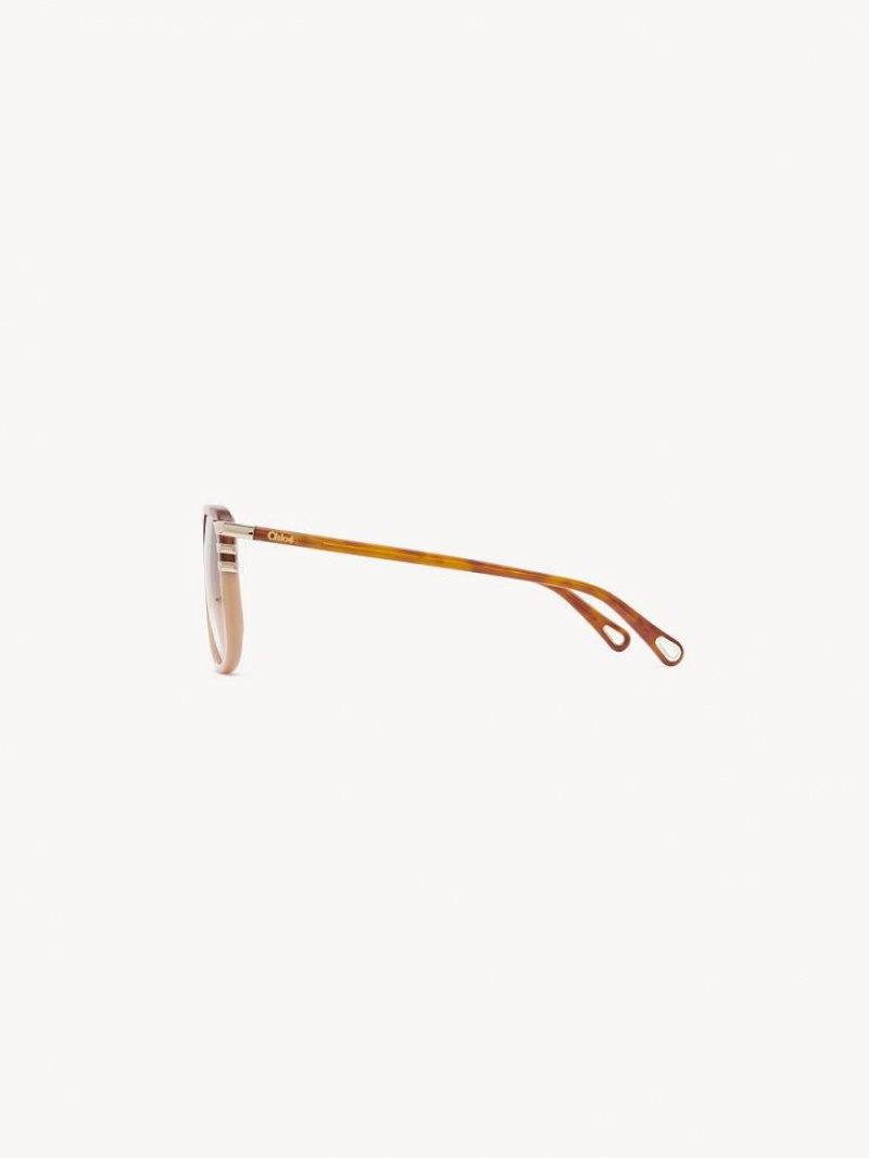 HAVANA/PEACH Chloe West Small Sunglasses | CHE-SR14522