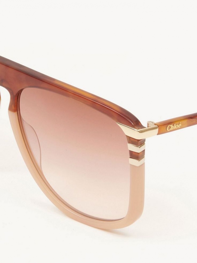 HAVANA/PEACH Chloe West Sunglasses | CHE-SR14548