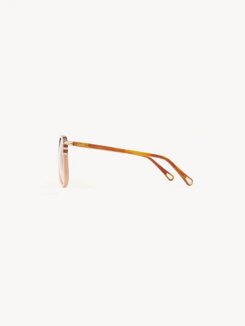 HAVANA/PEACH Chloe West Sunglasses | CHE-SR14548