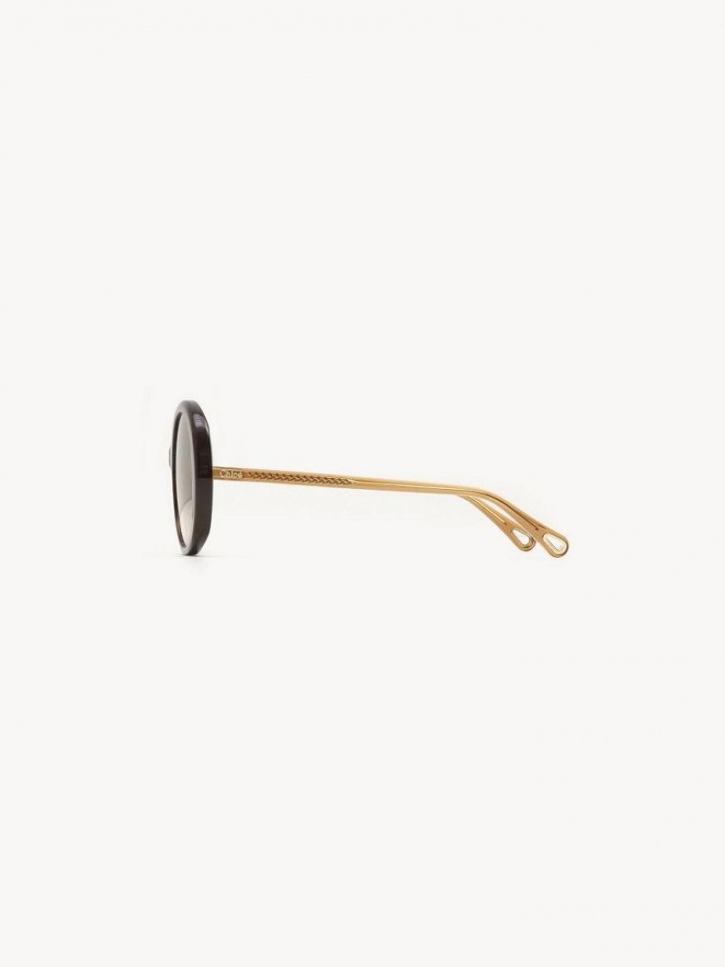 HAVANA / BROWN Chloe Esther Sunglasses | CHE-SR14529