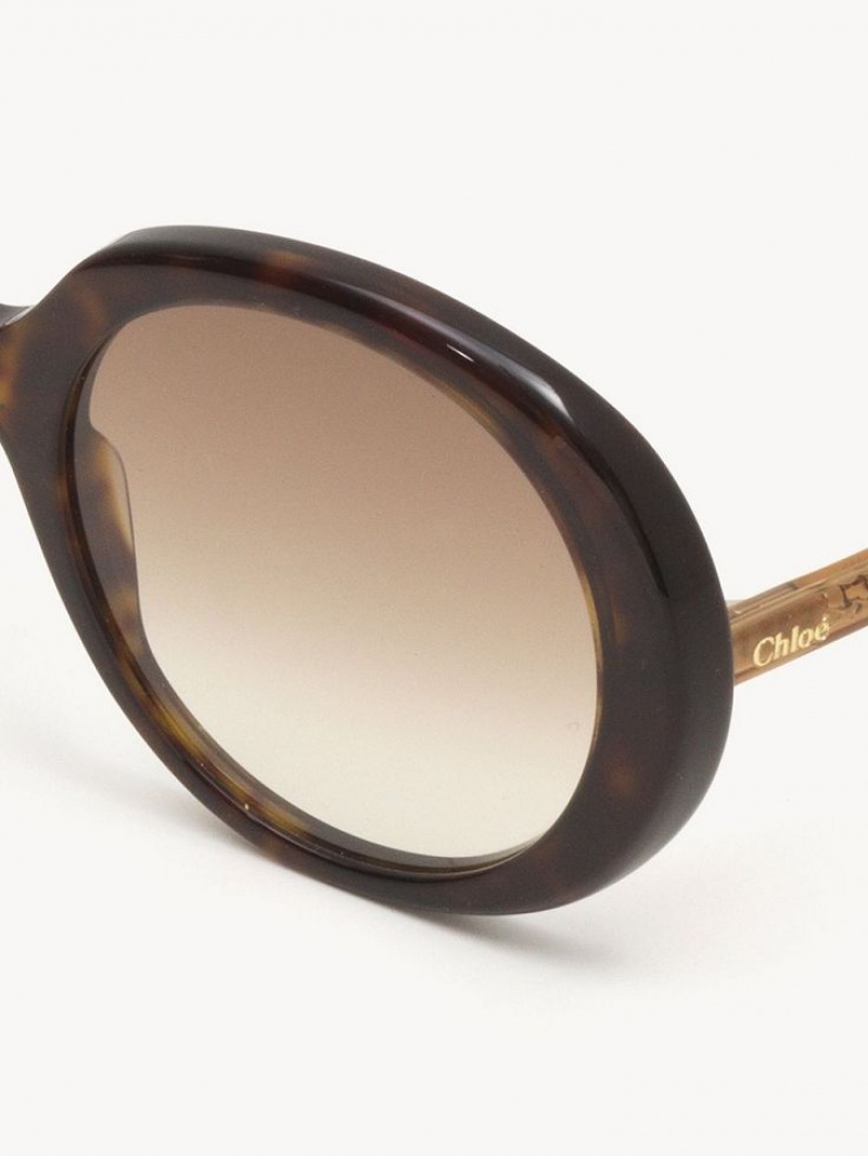 HAVANA / BROWN Chloe Esther Sunglasses | CHE-SR14529