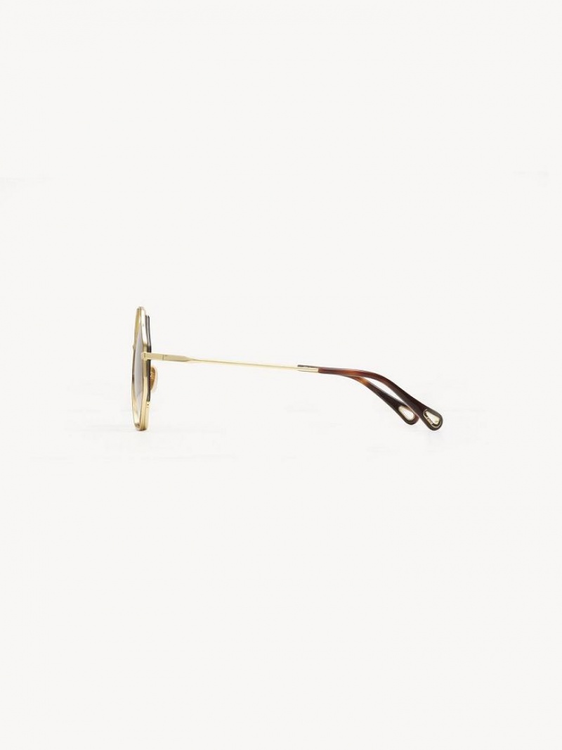 HAVANA / BROWN Chloe Poppy Petite Sunglasses | CHE-SR14545