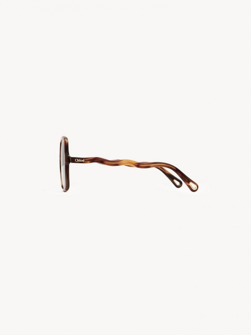 HAVANA / BROWN Chloe Zelie Sunglasses | CHE-SR14515