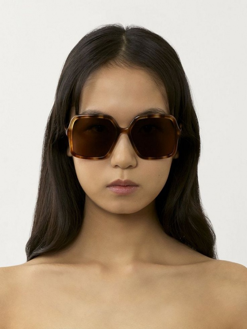 HAVANA / BROWN Chloe Zelie Sunglasses | CHE-SR14515