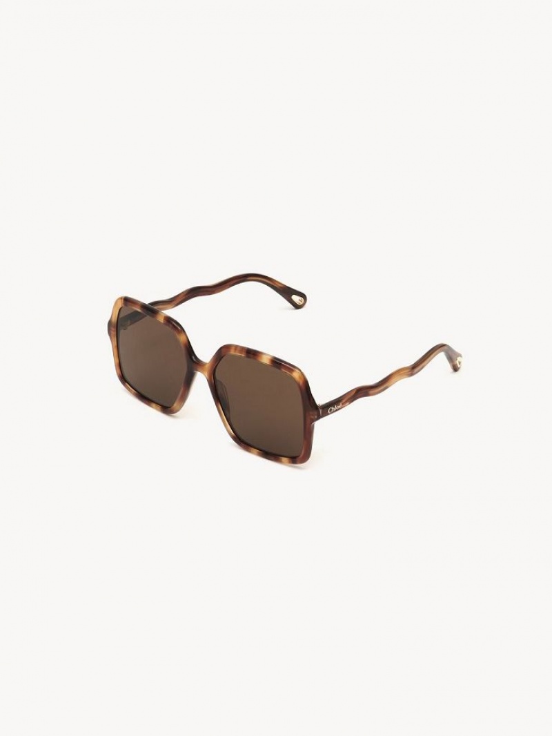 HAVANA / BROWN Chloe Zelie Sunglasses | CHE-SR14515