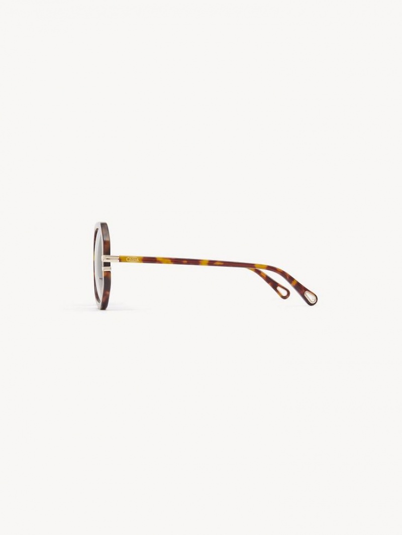 HAVANA / GRAD BLUE Chloe West Small Sunglasses | CHE-SR14517