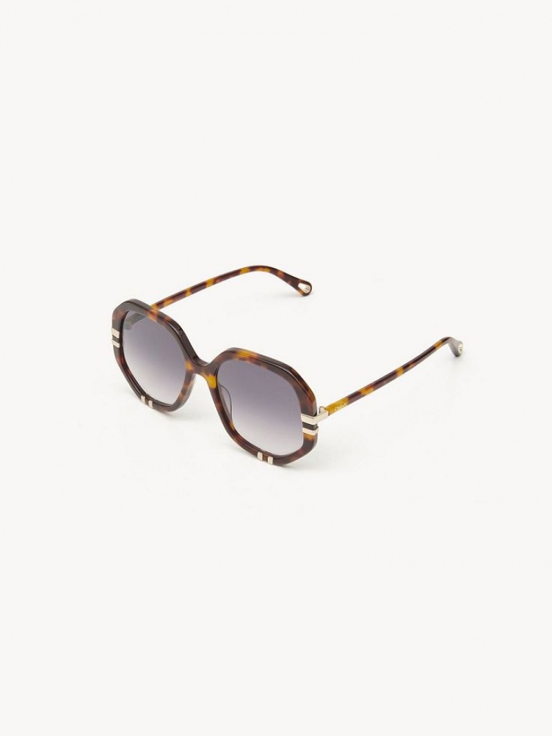 HAVANA / GRAD BLUE Chloe West Small Sunglasses | CHE-SR14517