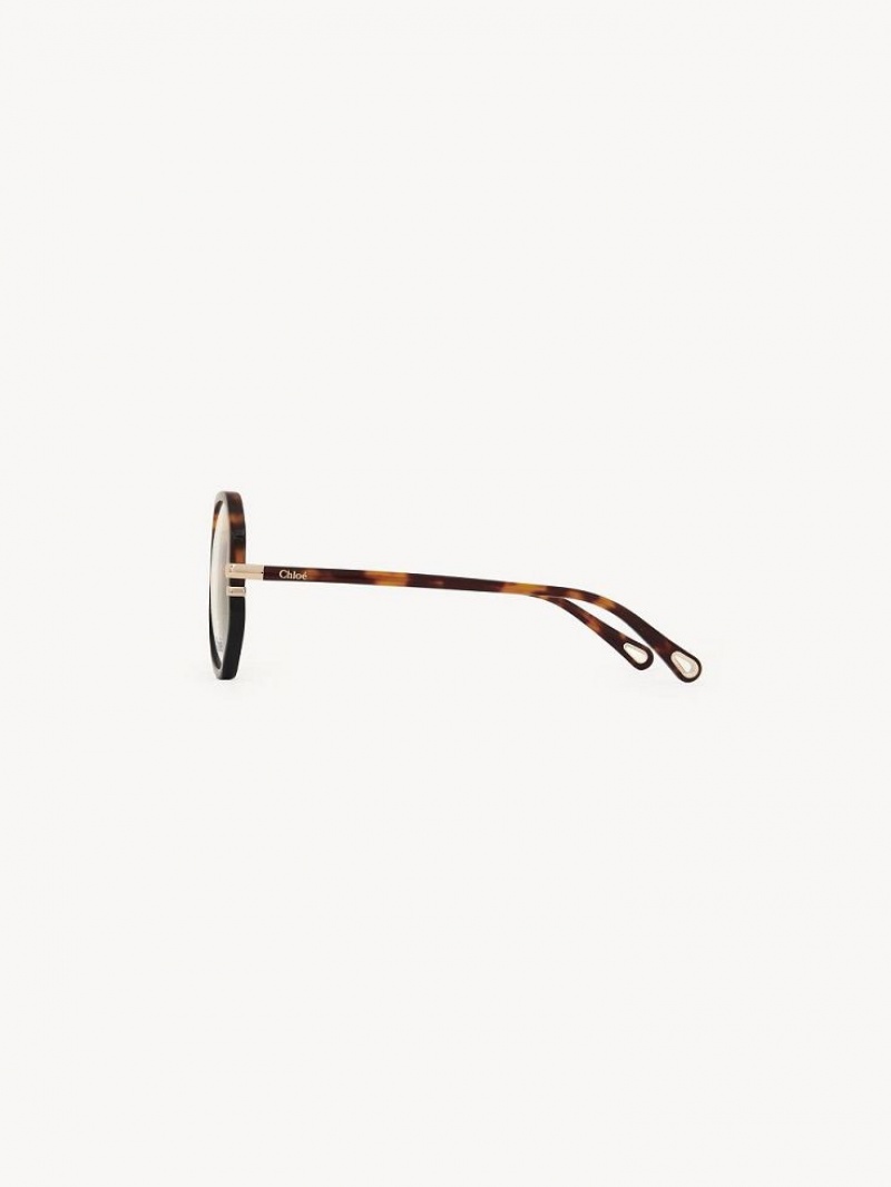 Havana Chloe West Eyeglasses | CHE-SR14584