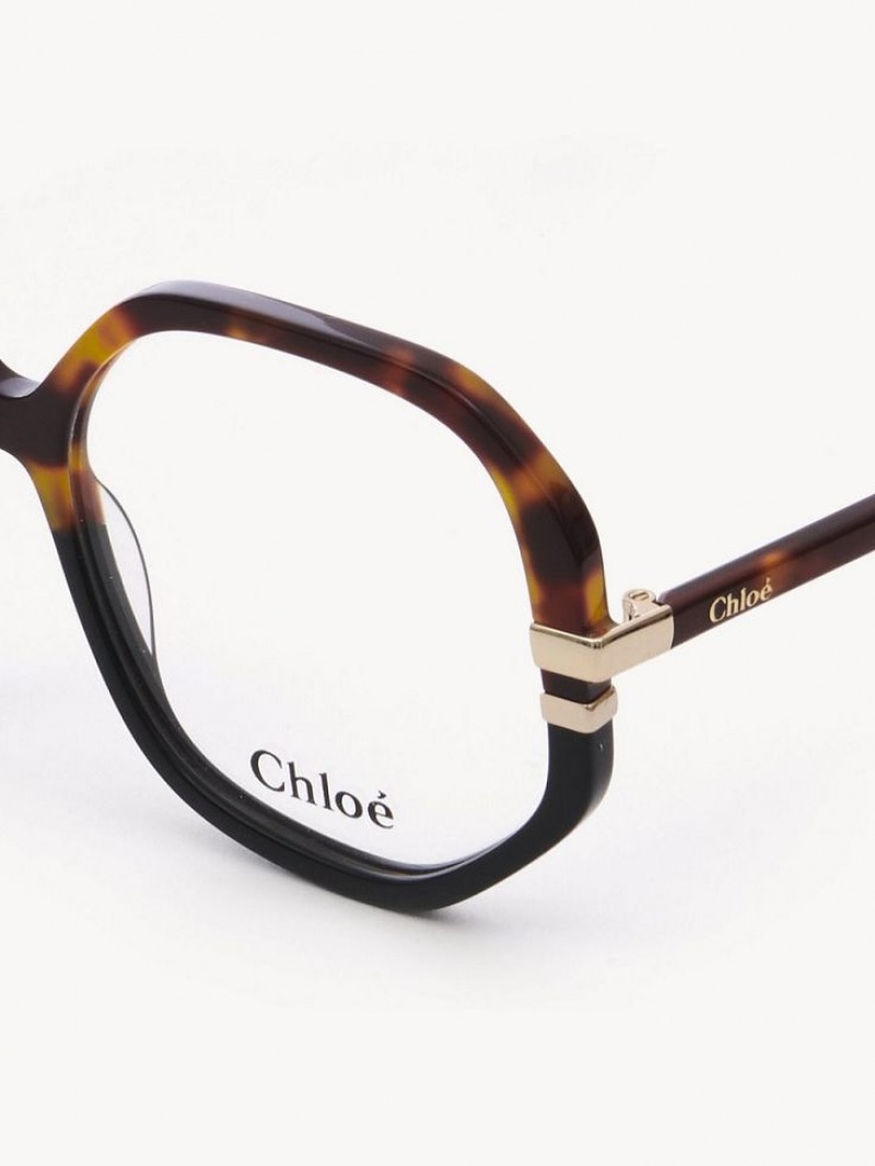 Havana Chloe West Eyeglasses | CHE-SR14584